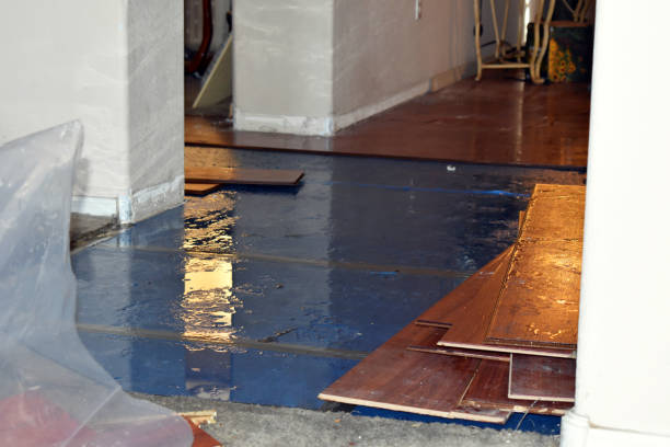 Professional Sewage Cleanup technician working in Gillett, TX